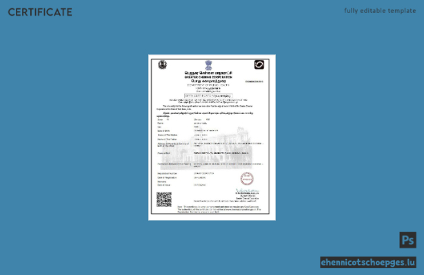 Beispiel einer Geburtsurkunde der Greater Chennai Corporation in Indien (Vorschau)